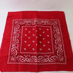 Lot of 2 Red Cotton Square Bandanas Scarves 21"