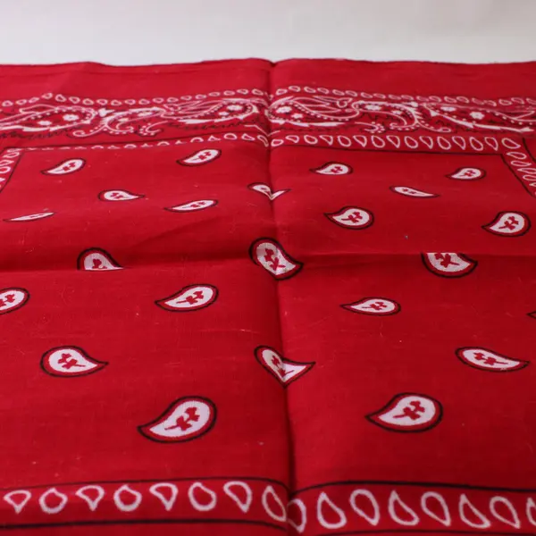 Lot of 2 Red Cotton Square Bandanas Scarves 21"