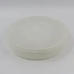 Tupperware Tupper Seal 242-5 Pie Cupcake Cookie Container 224-9 Lid