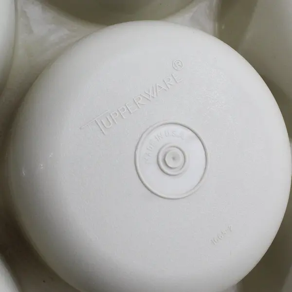 Vintage Tupperware 1665-2 Divided Veggie Tray 1666-2 Lid