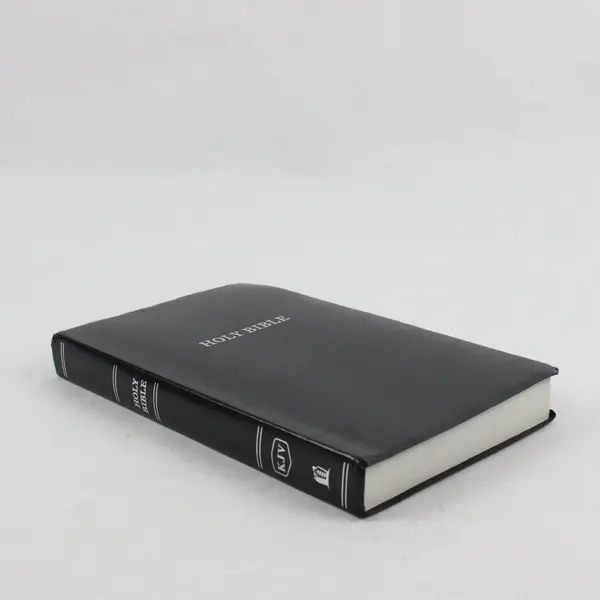 Thomas Nelson Holy Bible Red-Letter Edition 2016 KJV