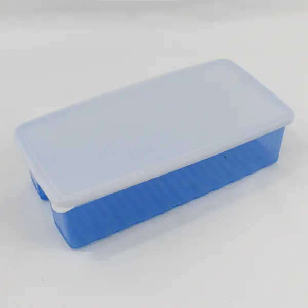 FridgeSmart Plastic Blue White Produce Storage Container Vegetables Fresh
