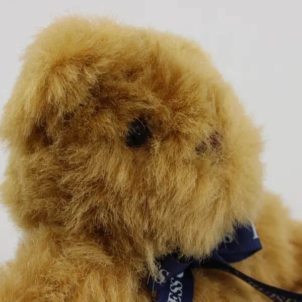 Princess Cruises Plush Teddy Bear Crystal Dog Charm