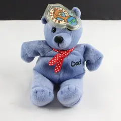 Planet Plush DAD Father's Day Bear Sally Winey 1999 Blue Beanie Plush