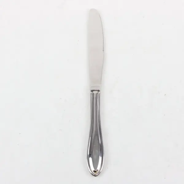 Lenox Hayden Pattern 18/10 Stainless Serrated Steak Knife 9"