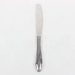 Lenox Hayden Pattern 18/10 Stainless Serrated Steak Knife 9"
