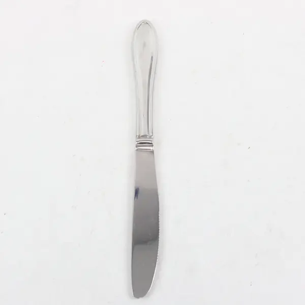 Lenox Hayden Pattern 18/10 Stainless Serrated Steak Knife 9"