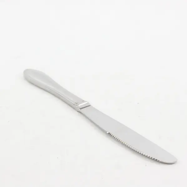 Lenox Hayden Pattern 18/10 Stainless Serrated Steak Knife 9"