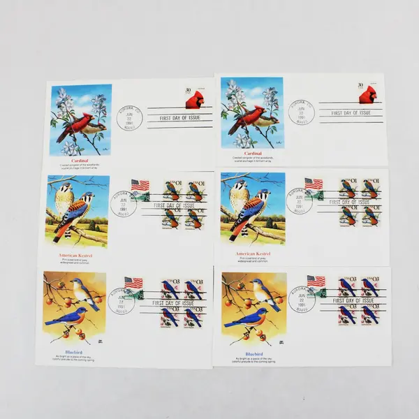 Lot Of 6 Birds Stamps 1991 Fleetwood First Day Covers
