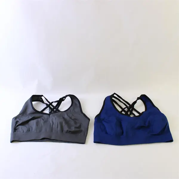 Women’s 2XL Racerback Sports Bras (Lot of 2) - Blue and Grey