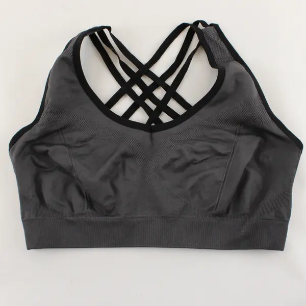 Women’s 2XL Racerback Sports Bras (Lot of 2) - Blue and Grey