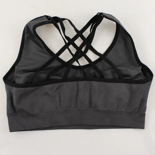 Women’s 2XL Racerback Sports Bras (Lot of 2) - Blue and Grey