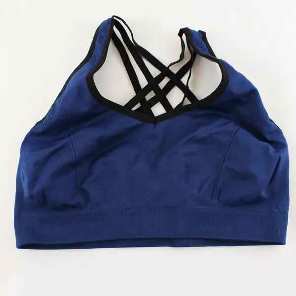 Women’s 2XL Racerback Sports Bras (Lot of 2) - Blue and Grey