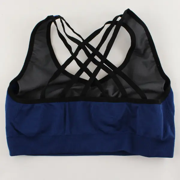 Women’s 2XL Racerback Sports Bras (Lot of 2) - Blue and Grey