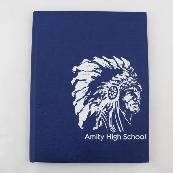 2015-2016 Amity High School Yearbook Amity Oregon Hardcover 