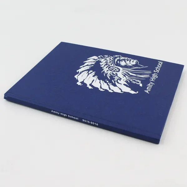 2015-2016 Amity High School Yearbook Amity Oregon Hardcover 