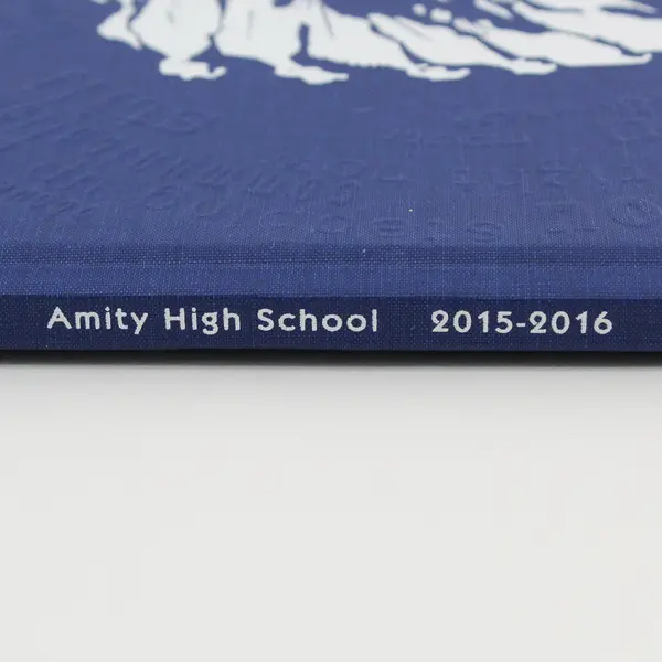 2015-2016 Amity High School Yearbook Amity Oregon Hardcover 