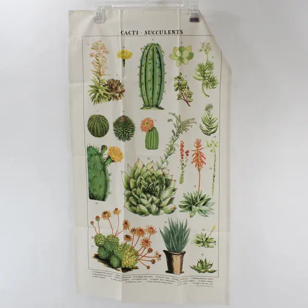 NWT Cavallini & Co. Vintage Tea Towel - Succulents - 100% Natural Cotton