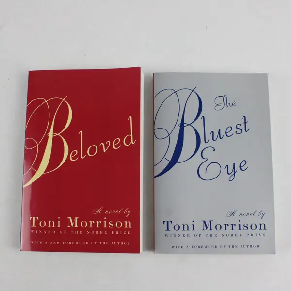 Lot of 2 Toni Morrison Novels Beloved 2004 The Bluest Eye 2007 Paperback