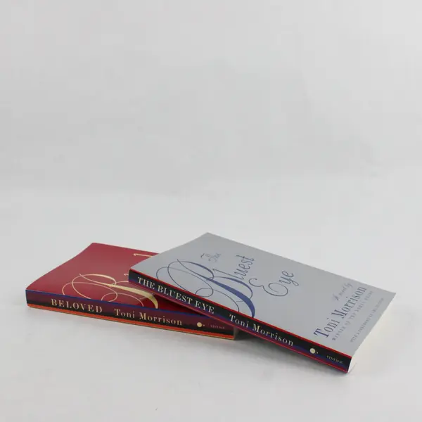 Lot of 2 Toni Morrison Novels Beloved 2004 The Bluest Eye 2007 Paperback