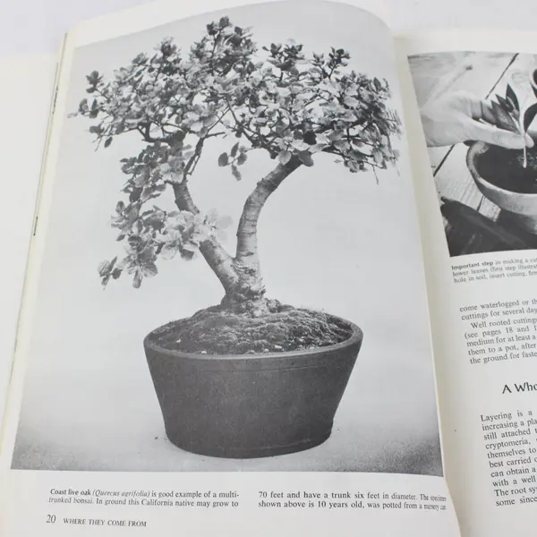 Vintage Sunset Book Bonsai Culture and Care of Miniature Trees 1973