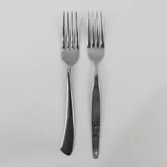 Lot of 2 Stainless Steel Dinner Forks Dorzel & Unknown Mixed Brand
