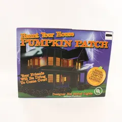 Haunt Your House Pumpkin Patch Net Style Orange Lights 3 ft x 6 ft WORKS