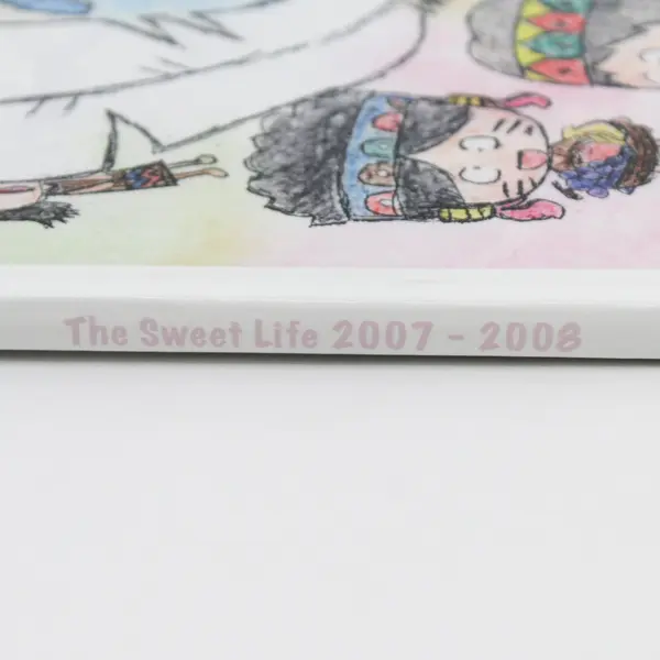 2007-2008 Amity High School Yearbook Amity Oregon Hardcover 