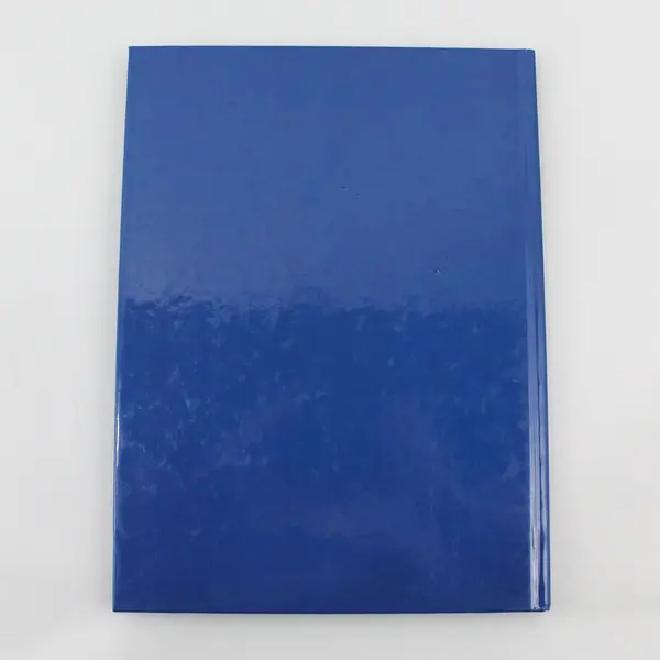 2008-2009 Amity High School Yearbook Amity Oregon Hardcover 