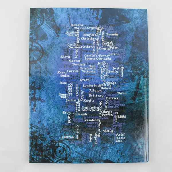 2010 Amity High School Yearbook Amity Oregon Hardcover 