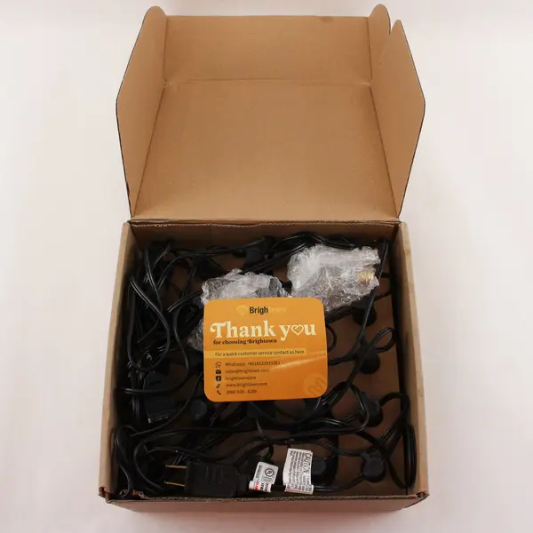 Brightown Clear G40 Globe String Light Set Indoor/Outdoor Black Cord 25 Bulbs