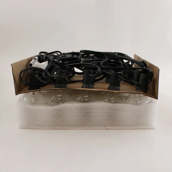 Brightown Clear G40 Globe String Light Set Indoor/Outdoor Black Cord 25 Bulbs