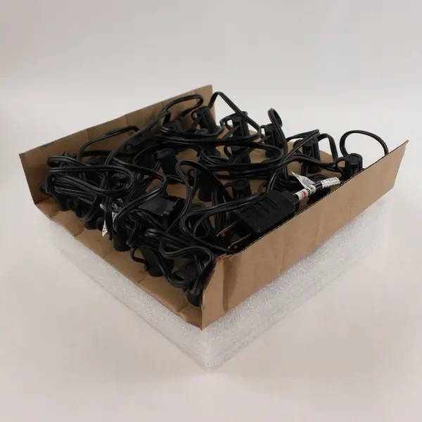 Brightown Clear G40 Globe String Light Set Indoor/Outdoor Black Cord 25 Bulbs