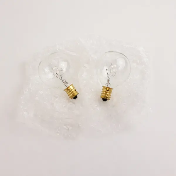 Brightown Clear G40 Globe String Light Set Indoor/Outdoor Black Cord 25 Bulbs