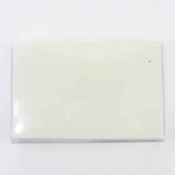 2007 CR Gibson Grandma's Star Brag Book Baby Photo Album Holds 20 4x6 Photos