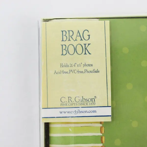 2007 CR Gibson Grandma's Star Brag Book Baby Photo Album Holds 20 4x6 Photos