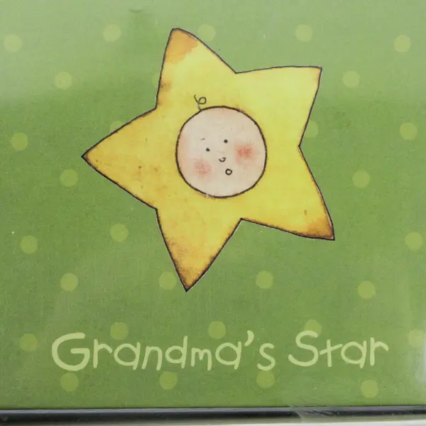 2007 CR Gibson Grandma's Star Brag Book Baby Photo Album Holds 20 4x6 Photos