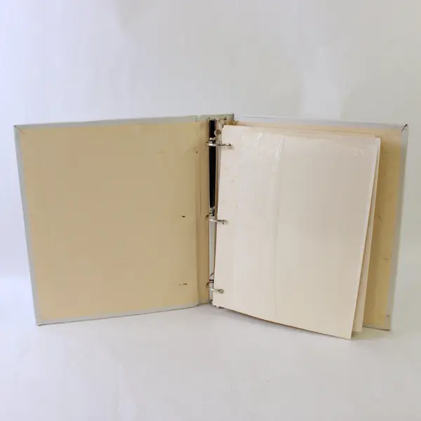 Lot of 2 Vintage Pioneer 100 Fast-Stick Page Photo Albums