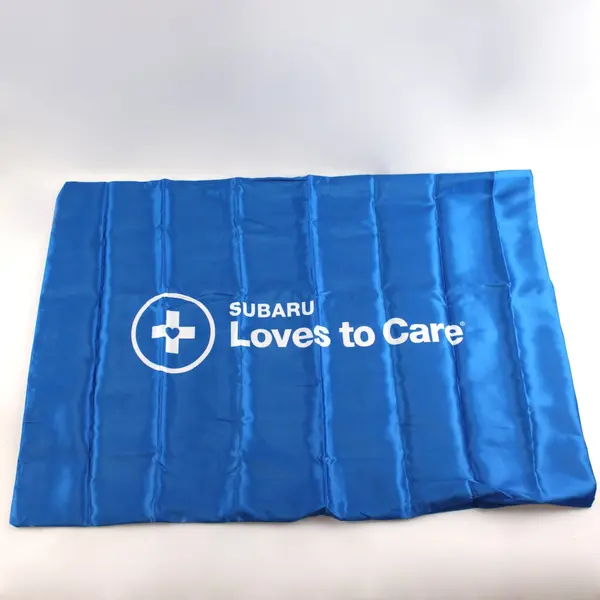 Sunscope Subaru Loves to Care Blue Pillow Case New