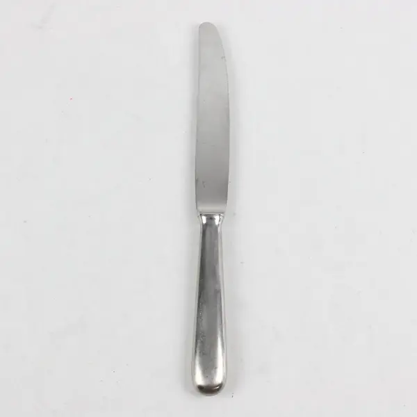 Cutipol Baguette Stainless Steel Knife 9.5in