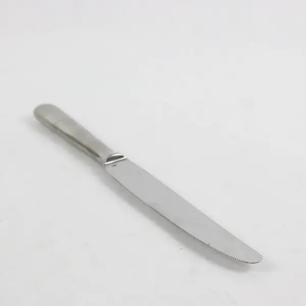 Cutipol Baguette Stainless Steel Knife 9.5in