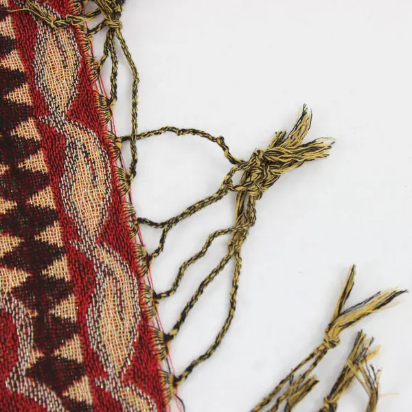 Red Yellow Sparkly Floral Boho Fringe Scarf Shawl 26x68 Loose Threads