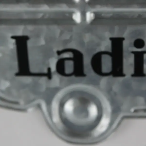 ARTISTRY Ladies' Clothes Aluminum Truck Sign 11.5in