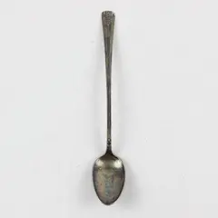 Wm Rogers Mfg Co Louisiane Silverplate Iced Tea Spoon 7.5in