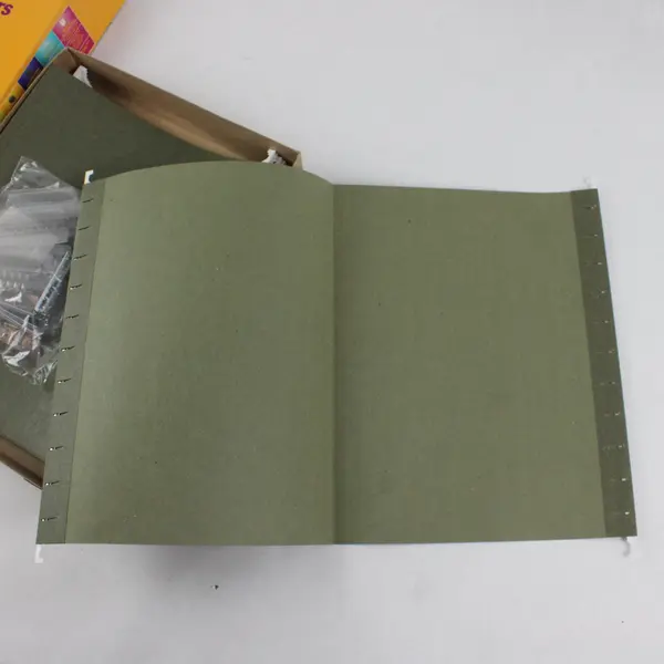 Staples 21 Green Letter 5-Tab Hanging File Folders w/Name Tags Inserts 116764