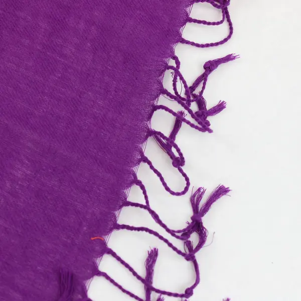 Sheer Plum Purple Fringe Scarf Wrap 26"x66"
