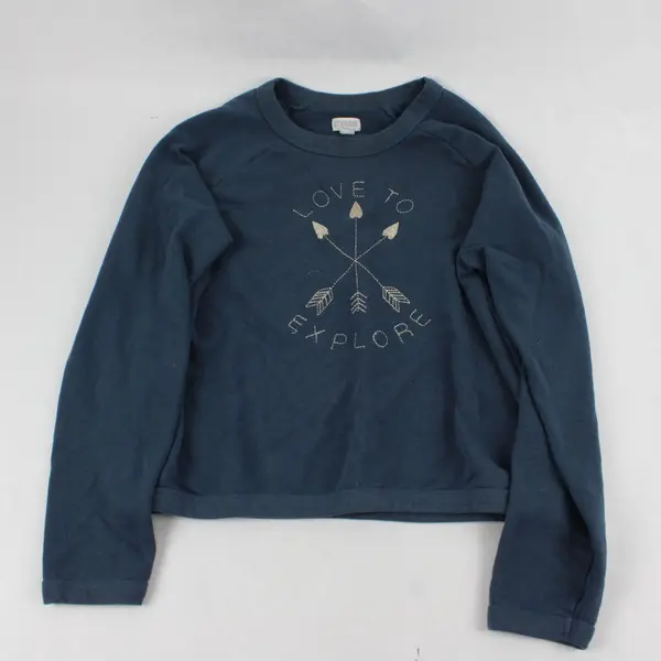 Gymboree Girls Blue Love To Explore Sweatshirt L 10-12