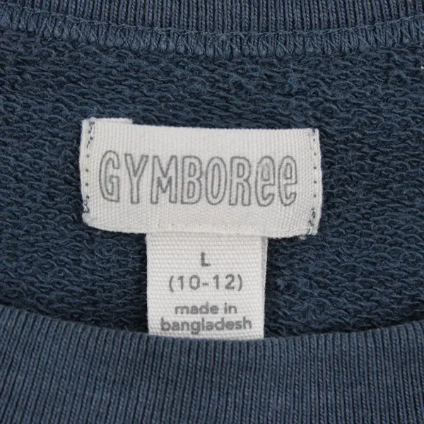 Gymboree Girls Blue Love To Explore Sweatshirt L 10-12