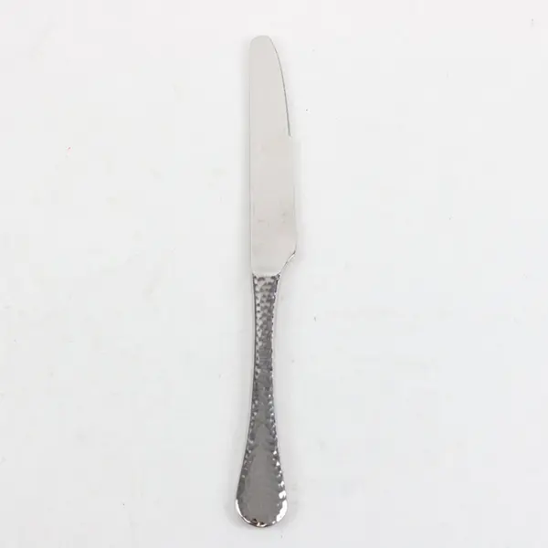 Ginkgo Flatware Lafayette Pattern 18/10 Stainless Solid Dinner Knife 9.75" Good