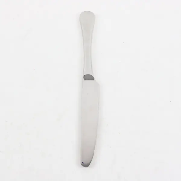 Ginkgo Flatware Lafayette Pattern 18/10 Stainless Solid Dinner Knife 9.75" Good